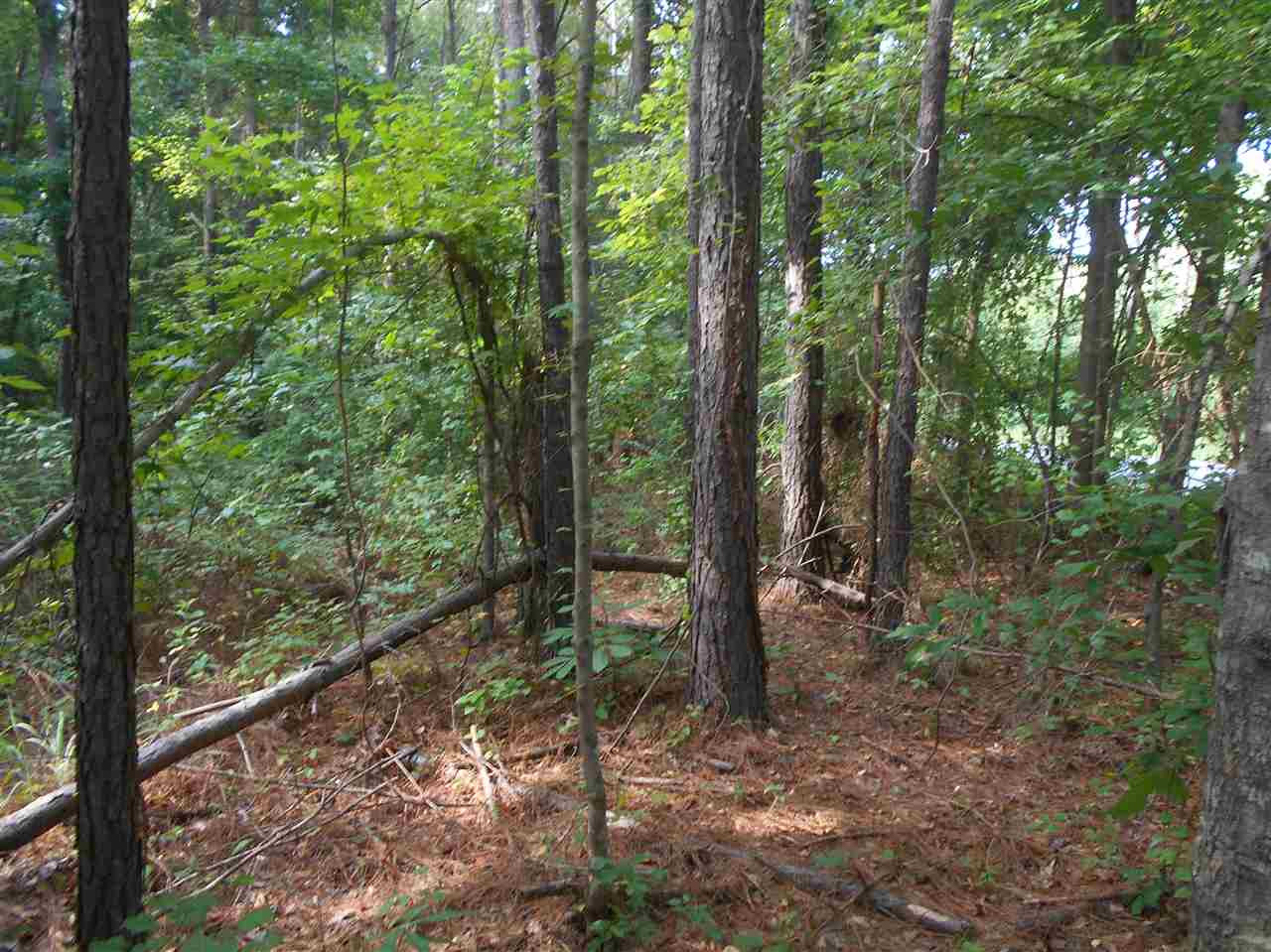 0 Miller Road Weir, MS 39772 - Photo 6 of 9 Photo 6