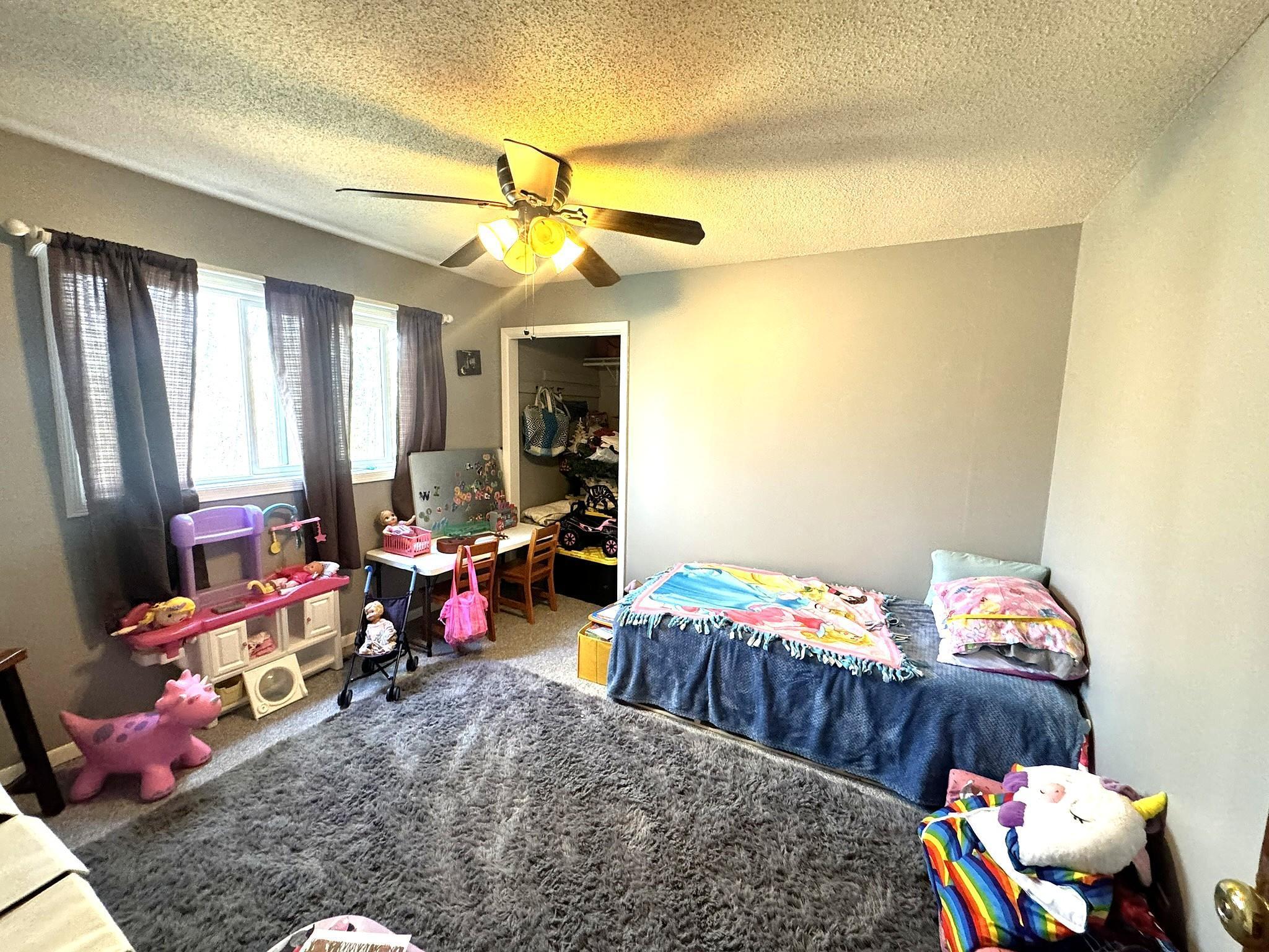 25433 County 86 Nevis, MN 56467 - Photo 22 of 39