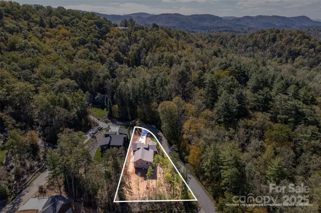 a view of a forest with a forest