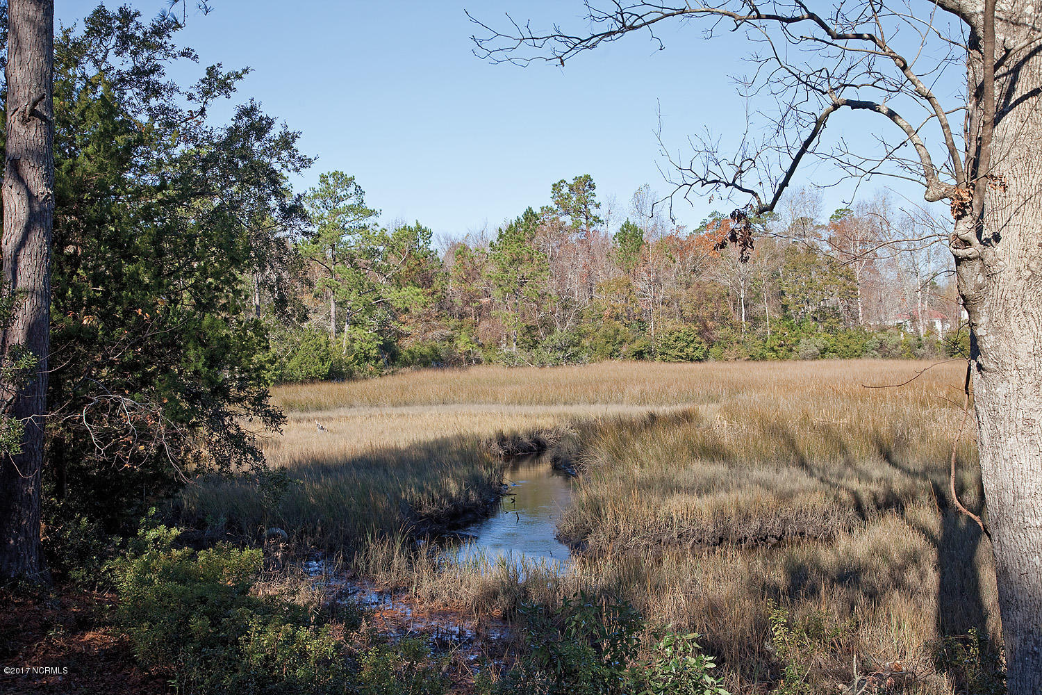 1000 Cordgrass Road Hampstead, NC 28443 - Photo 59 of 67 52 cordgrass 1000 marsh bev_6787