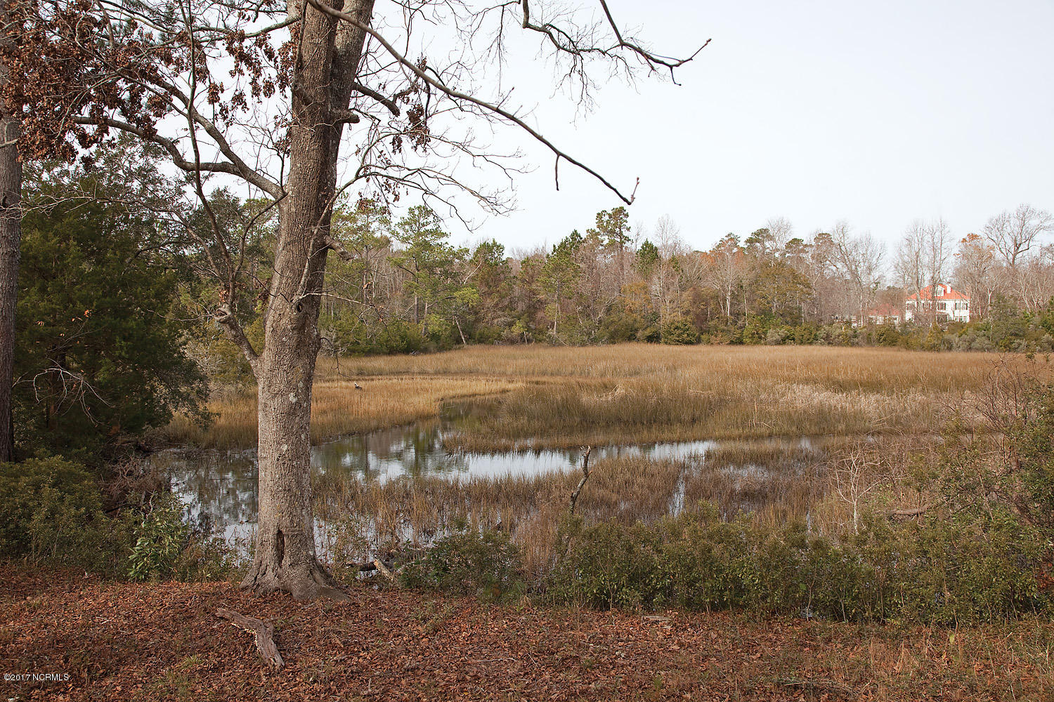 1000 Cordgrass Road Hampstead, NC 28443 - Photo 60 of 67 53 cordgrass 1000 marsh bev_7312