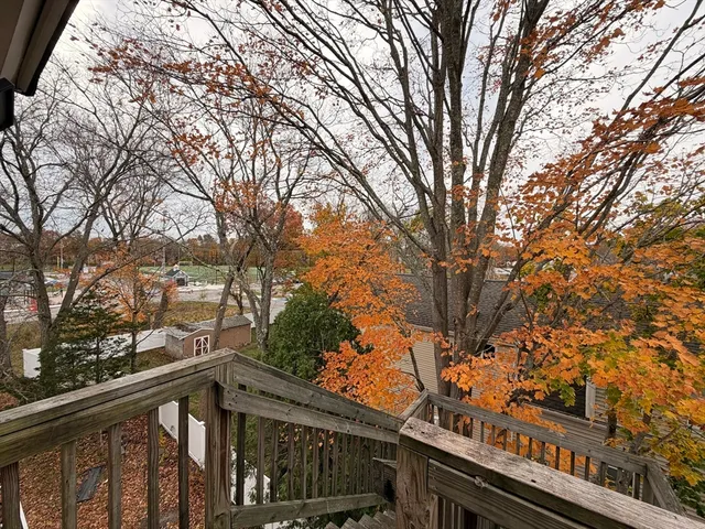 a view of tree in front of house