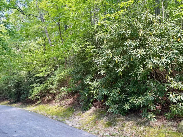 a view of a yard hardwood and floor