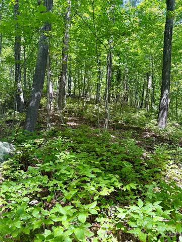 a view of wooden floor