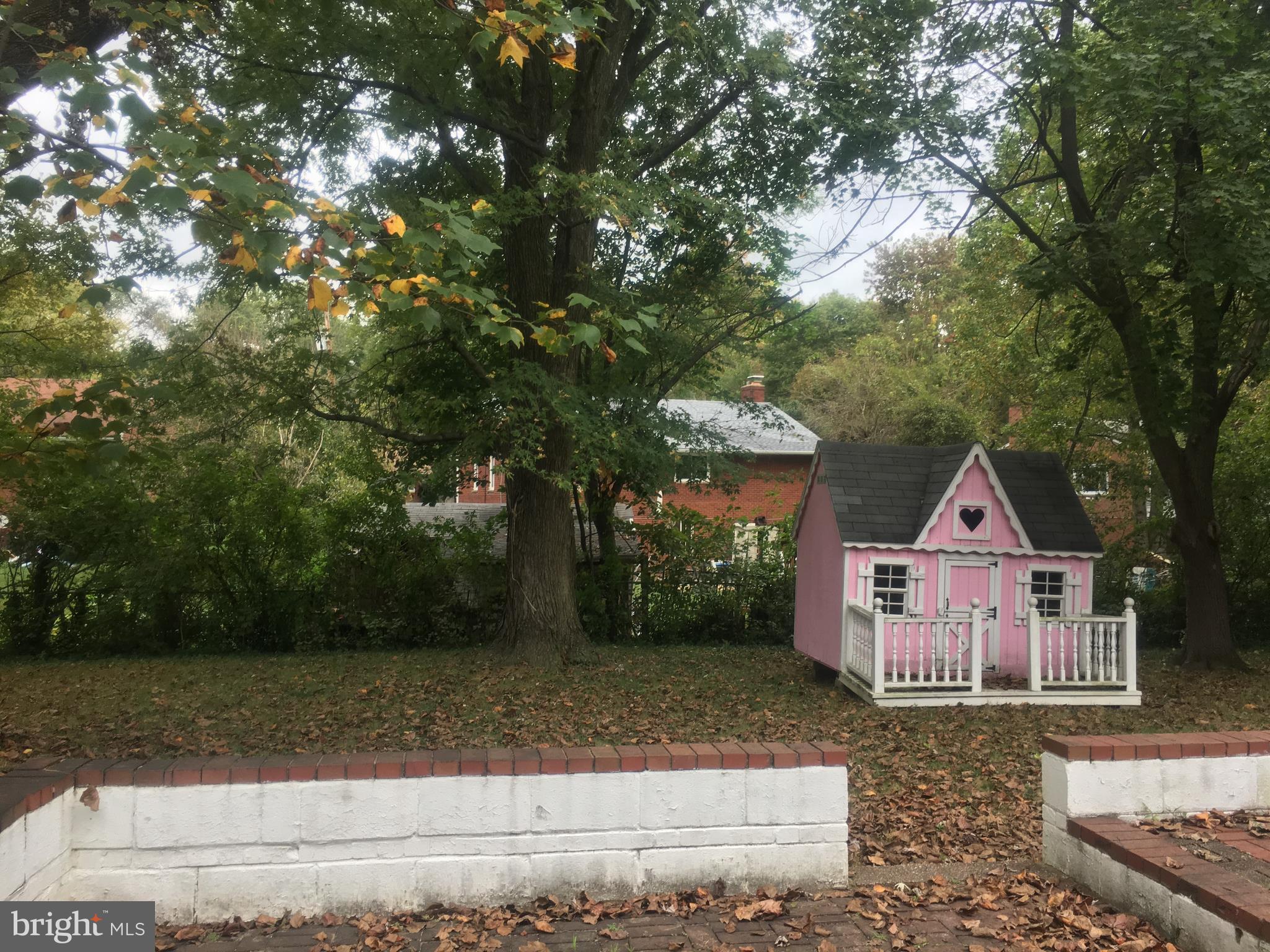 3912 Braddock Road Alexandria, VA 22312 - Photo 22 of 22 Large Private Backyard