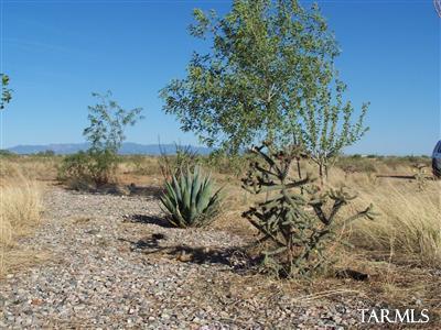 5196 East Philipps Road Willcox, AZ 85643 - Photo 14 of 16