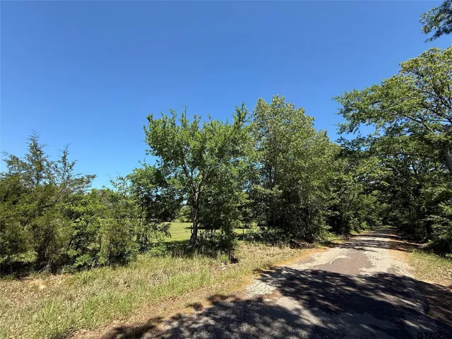 a view of a field with a tree