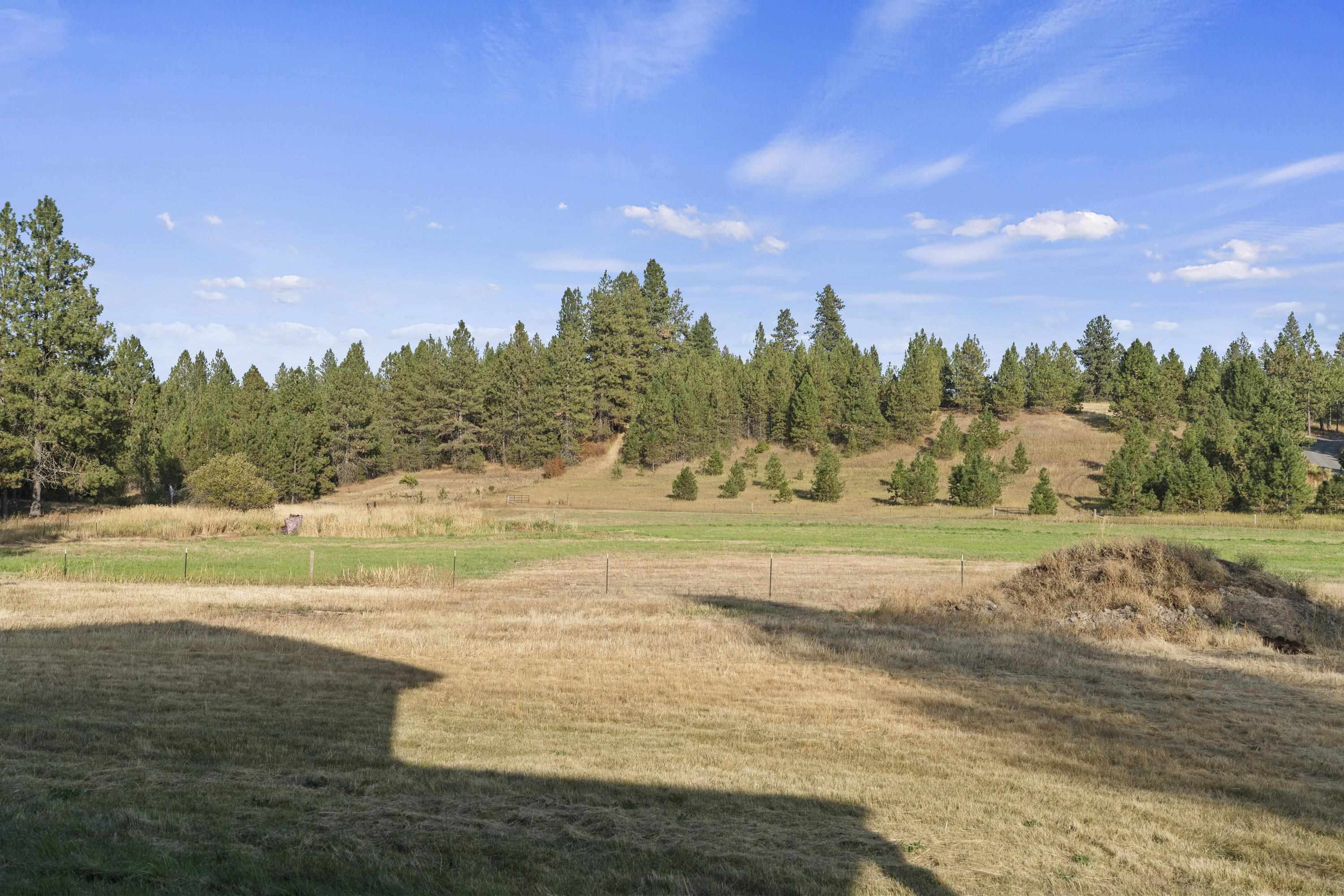 10203 South Madison Road Valleyford, WA 99036 - Photo 37 of 46 Gallery Image 37