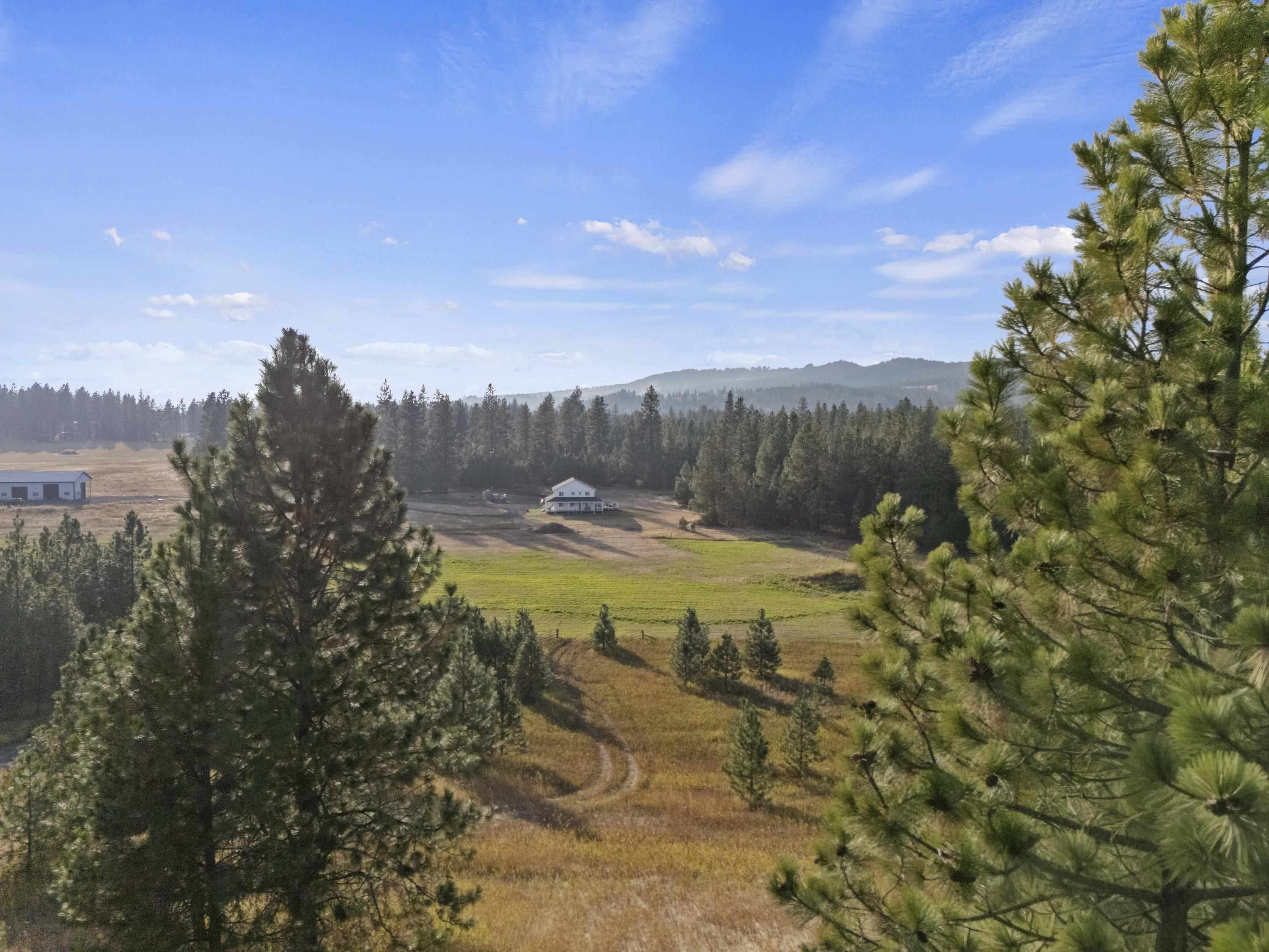 10203 South Madison Road Valleyford, WA 99036 - Photo 39 of 46 Gallery Image 39