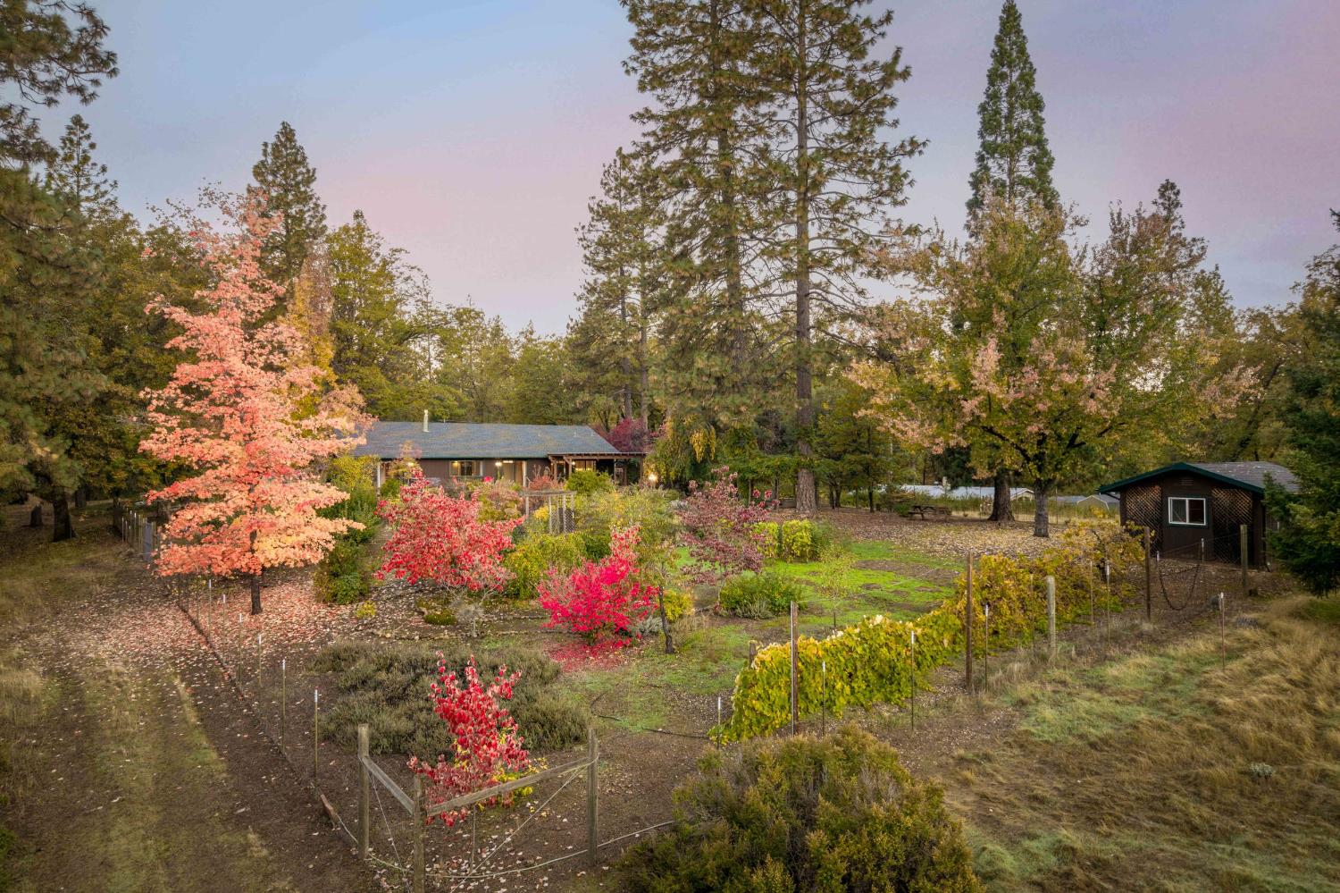 19595 Bow Valley Road Grass Valley, CA 95945 - Photo 57 of 84