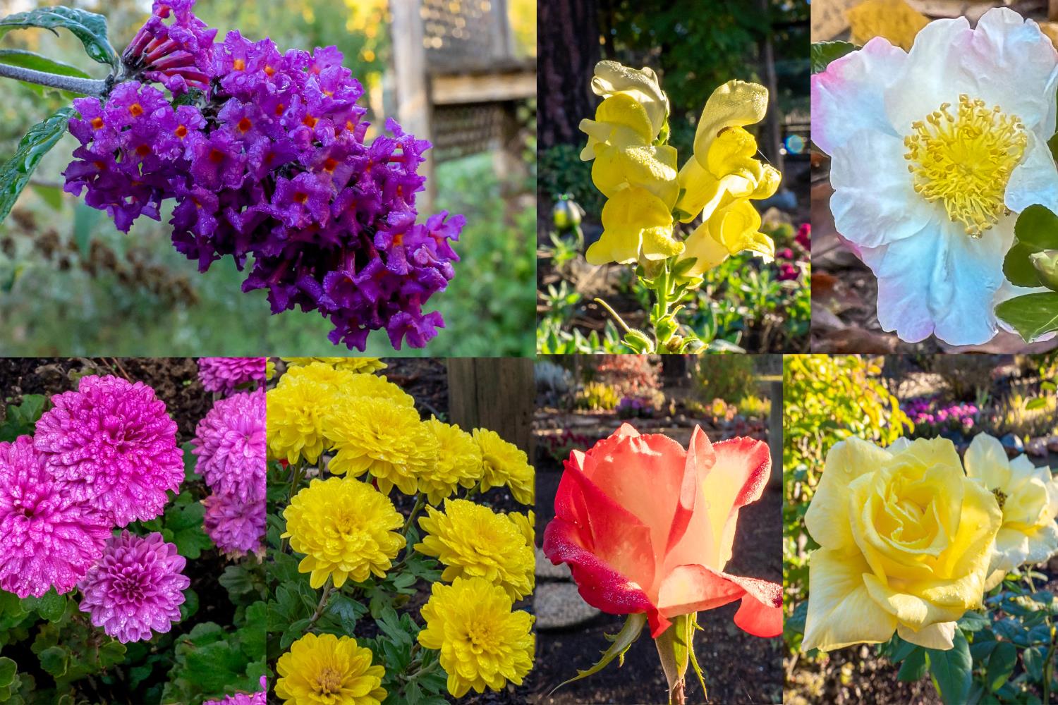 19595 Bow Valley Road Grass Valley, CA 95945 - Photo 64 of 84