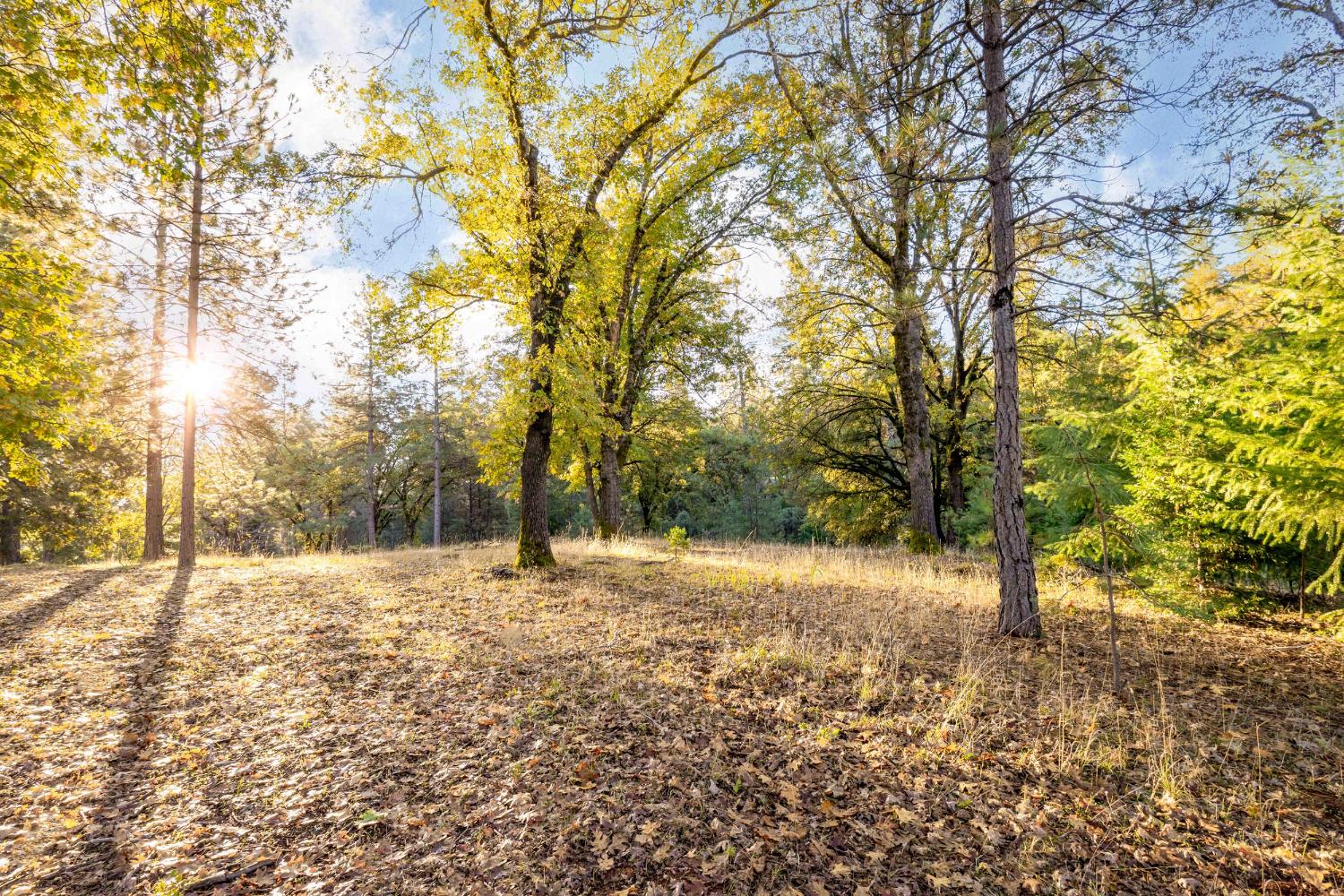 19595 Bow Valley Road Grass Valley, CA 95945 - Photo 68 of 84