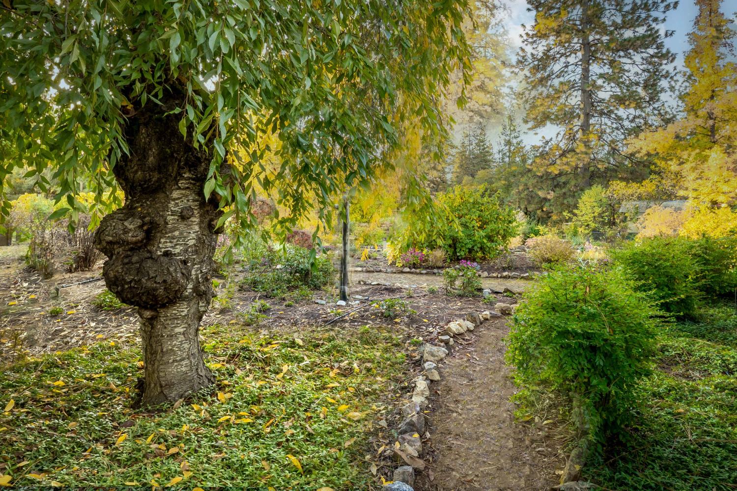 19595 Bow Valley Road Grass Valley, CA 95945 - Photo 71 of 84