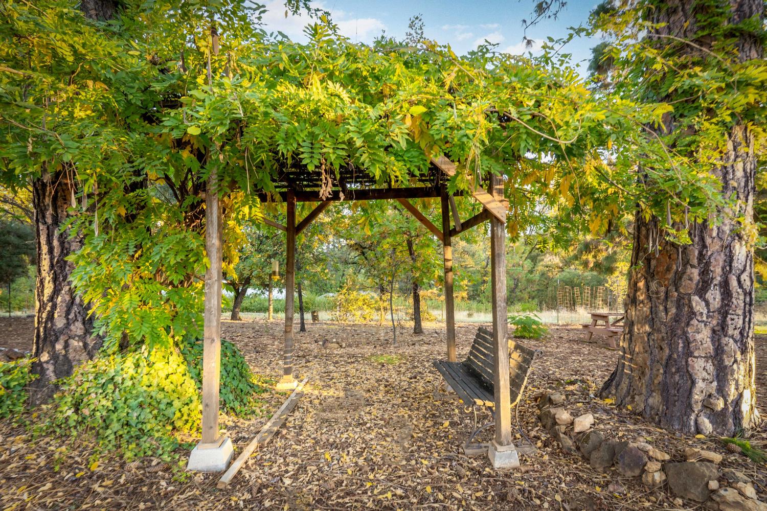 19595 Bow Valley Road Grass Valley, CA 95945 - Photo 72 of 84