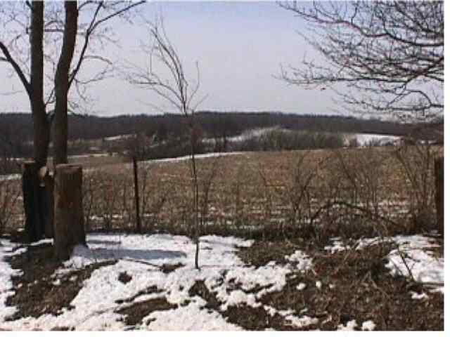 0 Hartman Road Durand, IL 61024 - Photo 2 of 3 a view of a yard with a tree