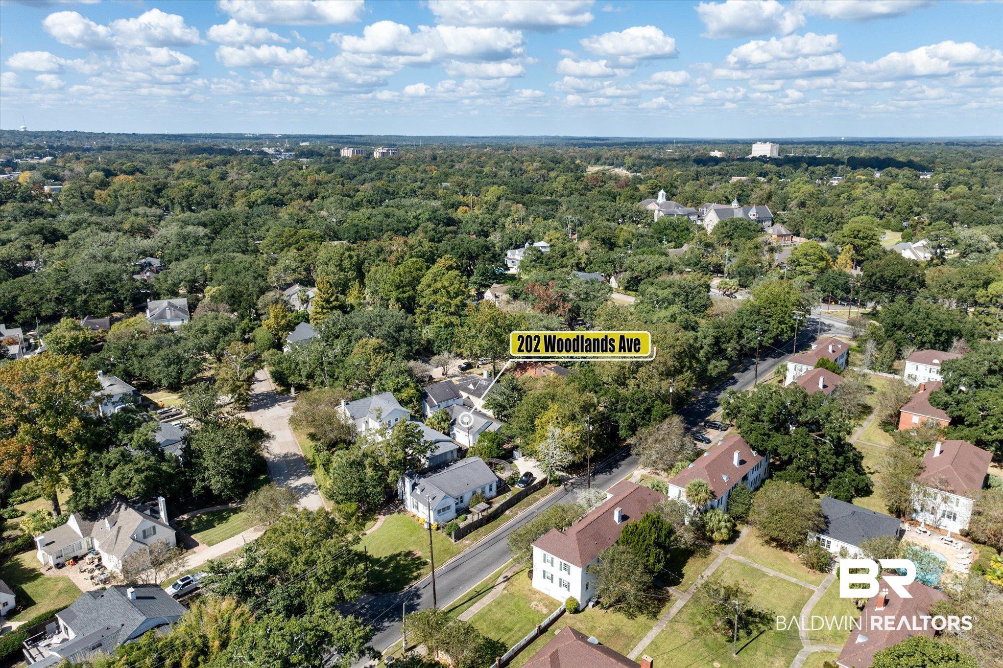 202 Woodlands Avenue Mobile, AL 36607 - Photo 51 of 53 Bird's eye view