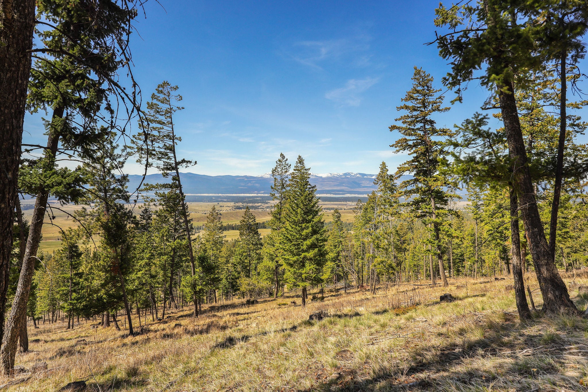 784 Plvid Road Eureka, MT 59917 - Photo 9 of 50 Gallery Image 9