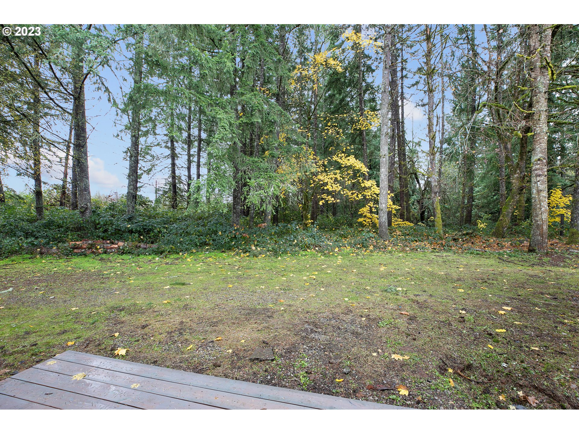 25331 South Larkin Road Beavercreek, OR 97004 - Photo 40 of 44 a view of outdoor space and yard