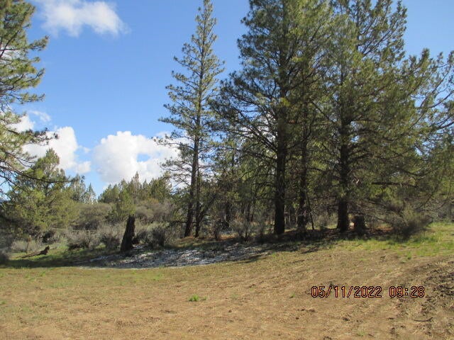 Lot 2 Partin Drive Beatty, OR 97621 - Photo 4 of 11 IMG_0001