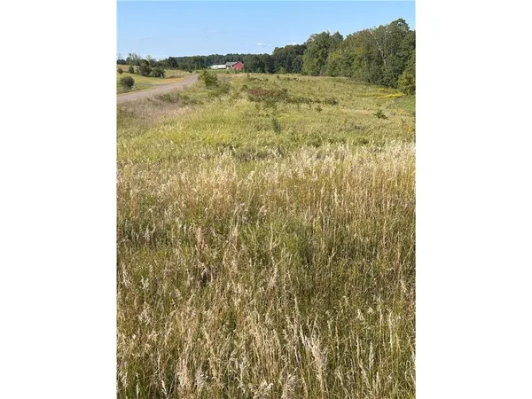 $35,000 | Lot 2 166th Street, Amery, WI 54001