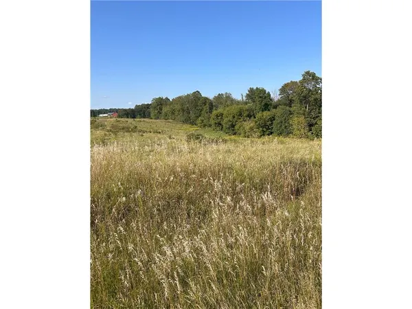 $35,000 | Lot 2 166th Street, Amery, WI 54001