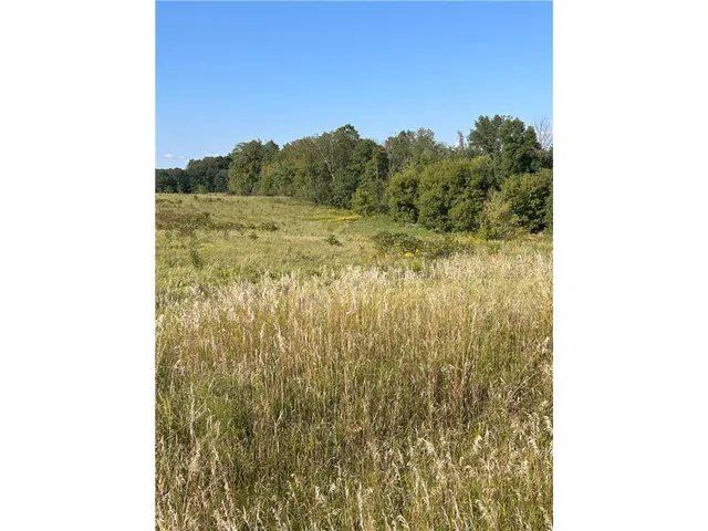$25,000 | Lot 2 166th Street, Amery, WI 54001