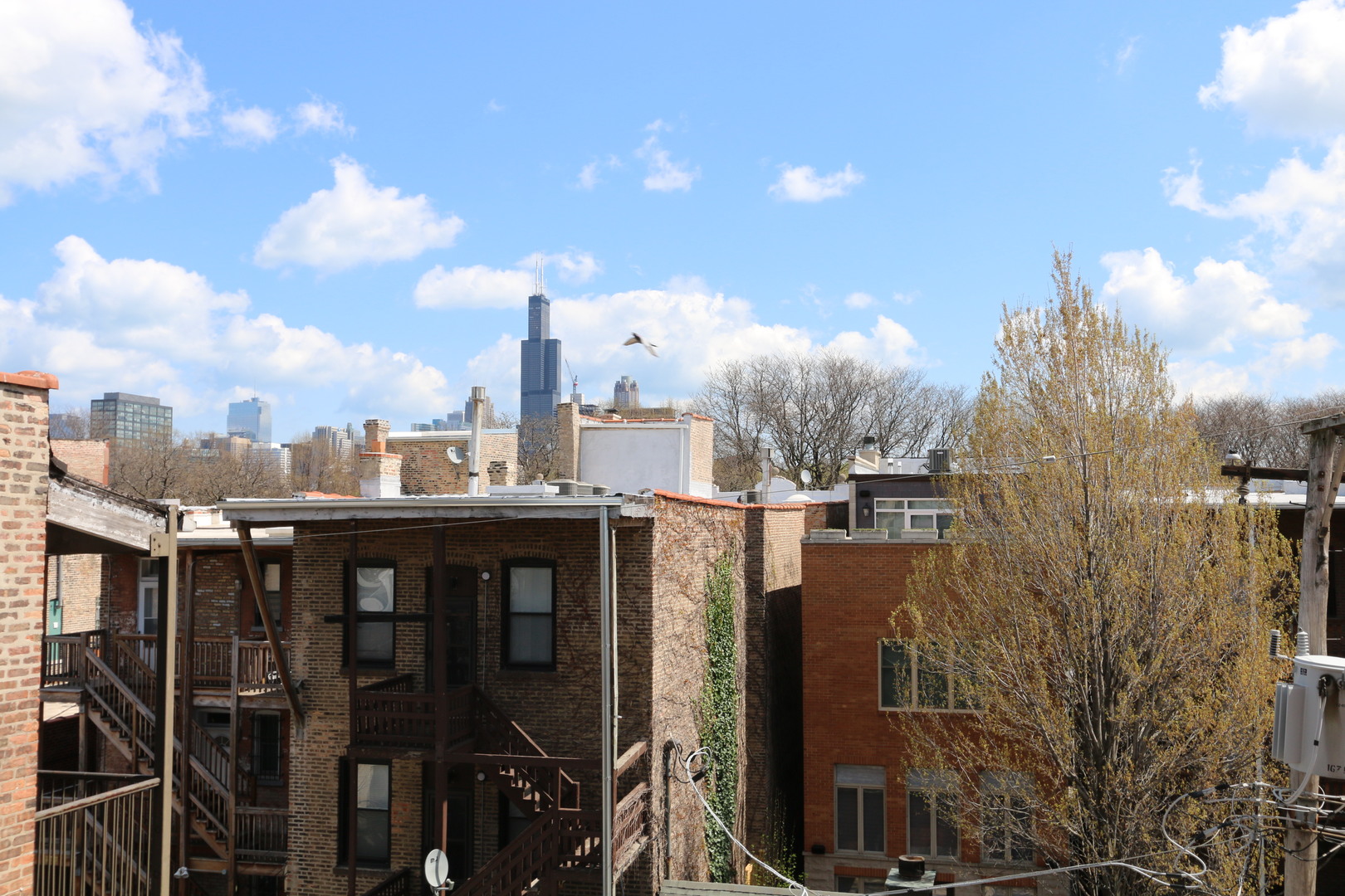 815 South Bishop Street Chicago, IL 60607 - Photo 44 of 52