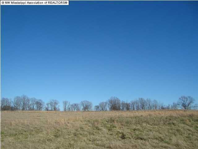 37 Horn Lake Road Hernando, MS 38632 - Photo 1 of 1 Primary Photo