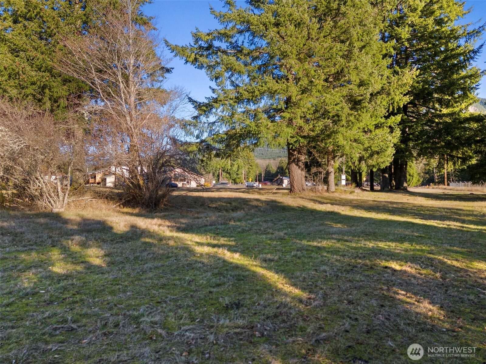 1000 Us Highway Packwood, WA 98361 - Photo 8 of 13 a view of outdoor space with garden