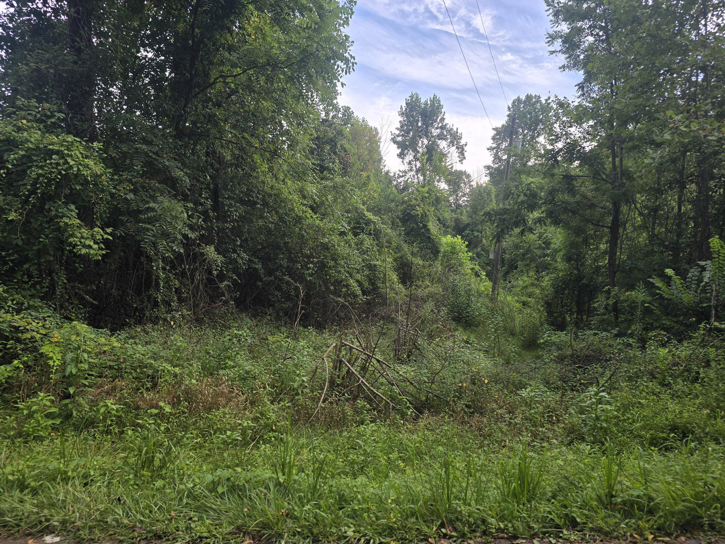 Lot #6 Bellwood Road Middlesboro, KY 40965 - Photo 1 of 2 20250812_190413