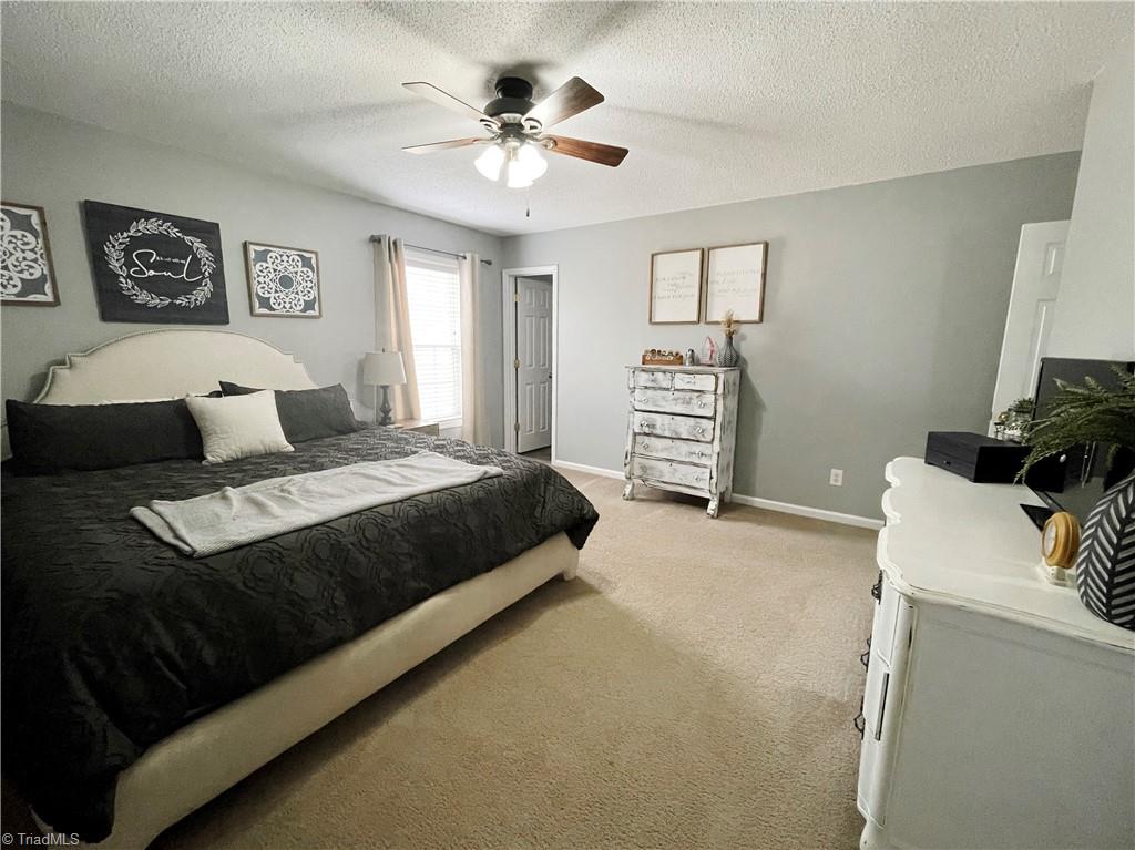 4313 Hoover Hill Road Trinity, NC 27370 - Photo 13 of 16