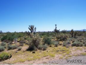 1026 East Rimrock Drive Yucca, AZ 86438 - Photo 1 of 1 Primary Photo