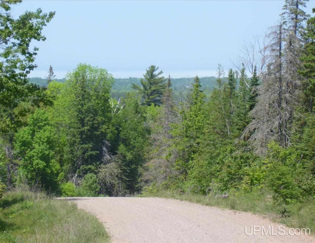 Tbd Gratiot River Road Iron Mountain, MI 49801 - Photo 7 of 11