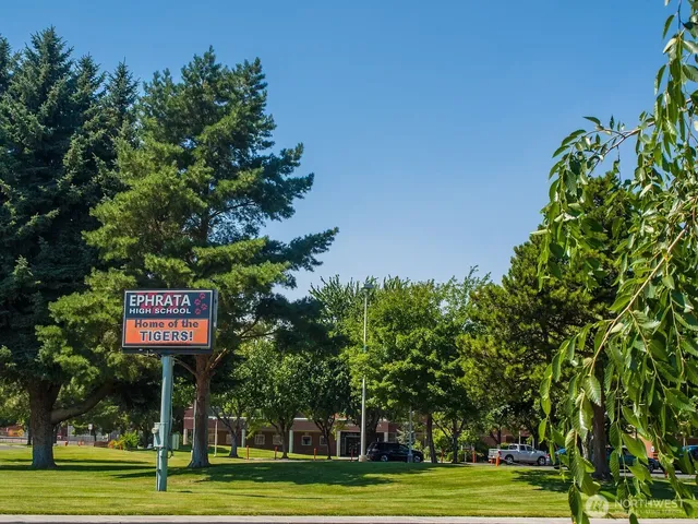 a view of a park with tree s