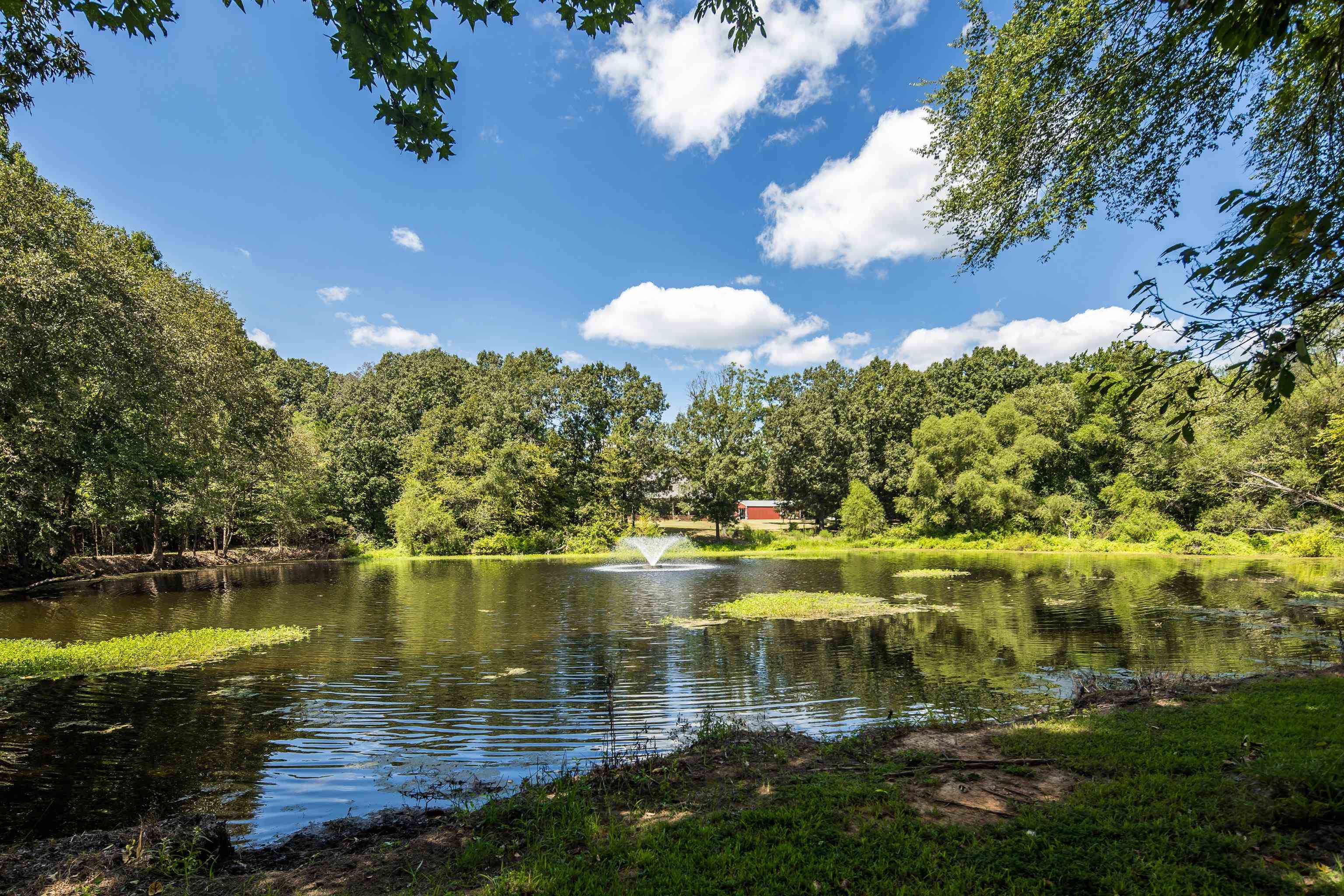 2865 Bobbitt Road Williston, TN 38076 - Photo 11 of 40 Gallery Image 11