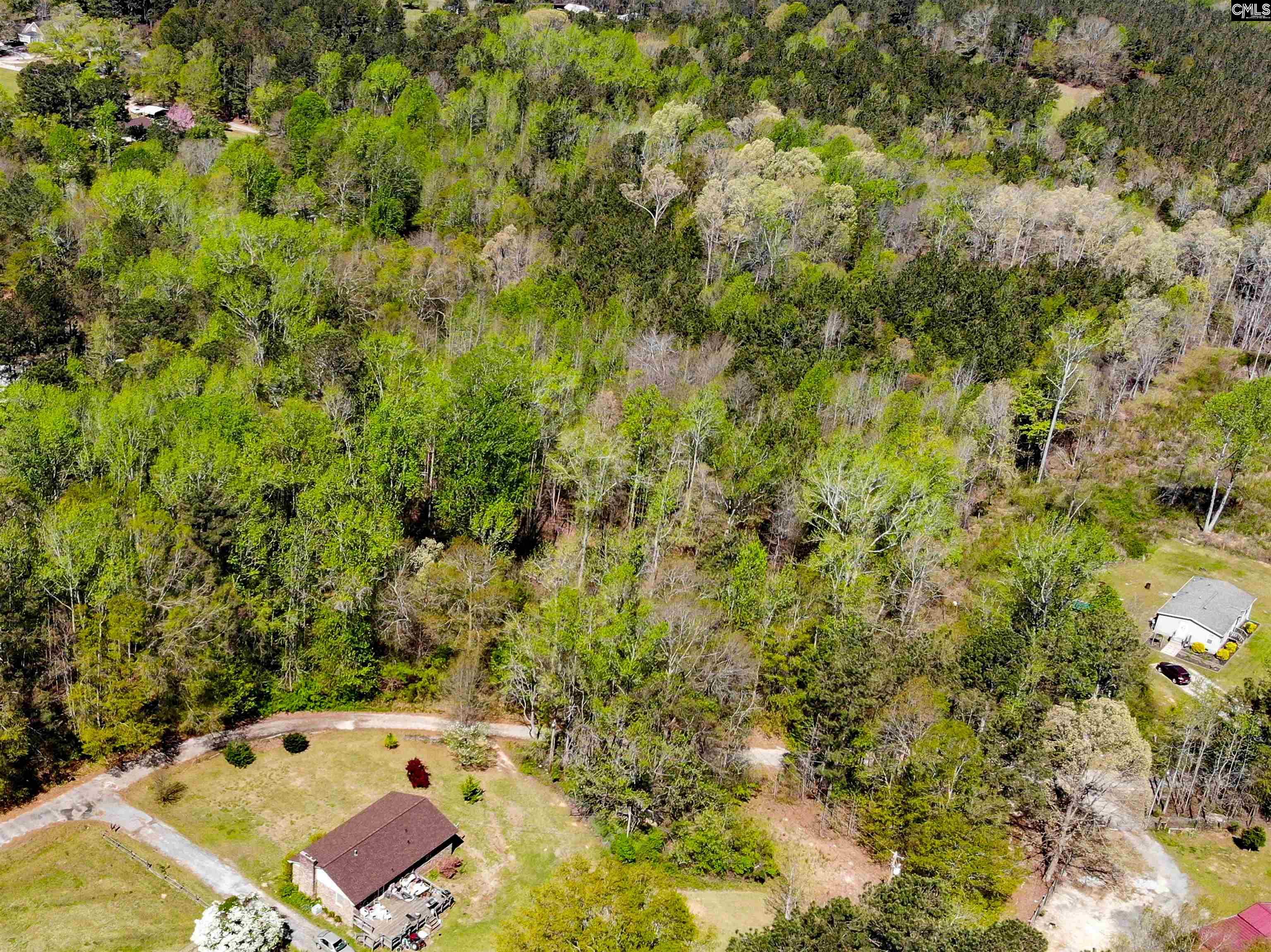 Tbd James Road Joanna, SC 29351 - Photo 1 of 82
