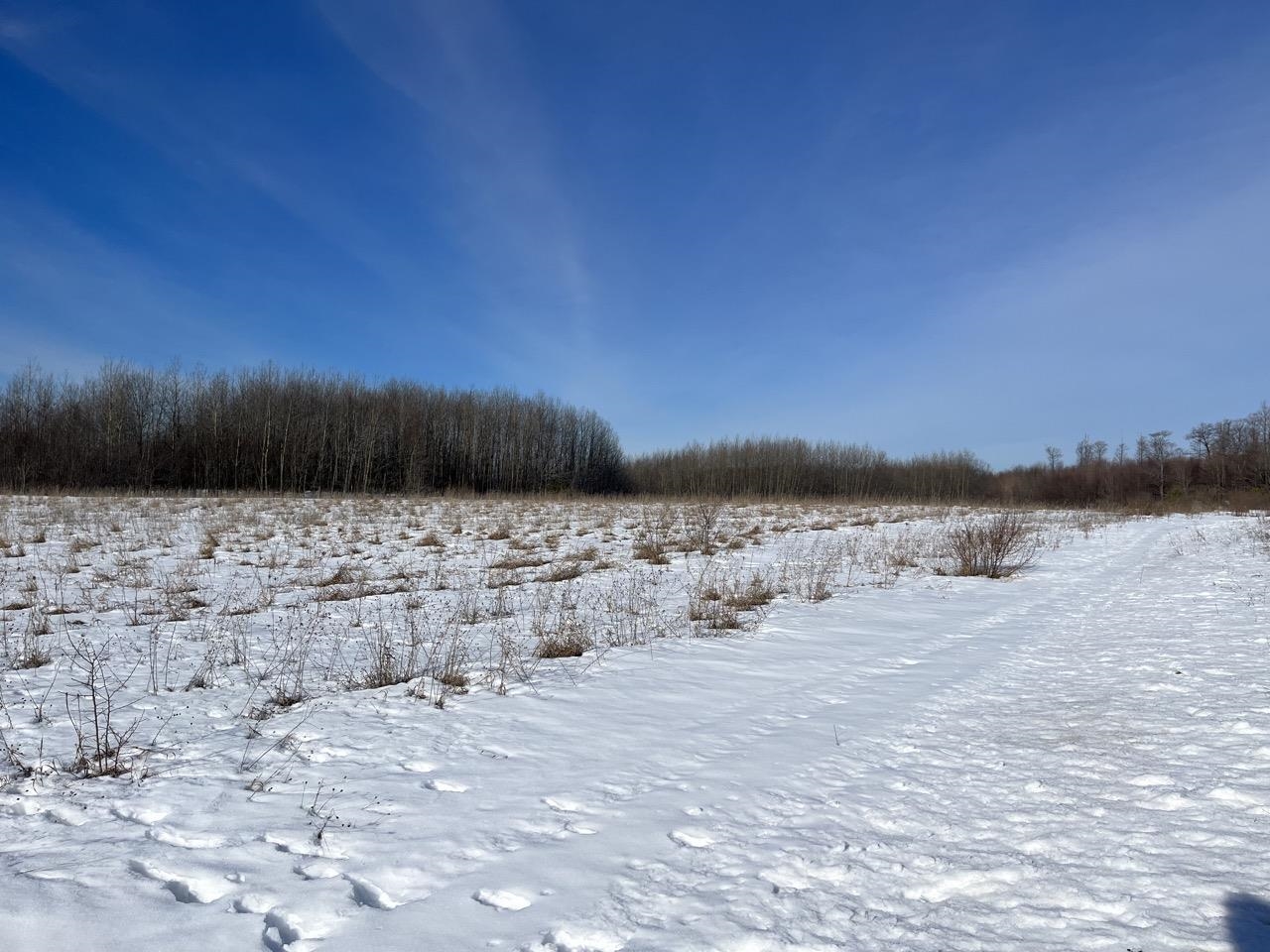 Parcel P Florey's Ranch Road, Unit LOT: P Grawn, MI 49637 - Photo 4 of 8