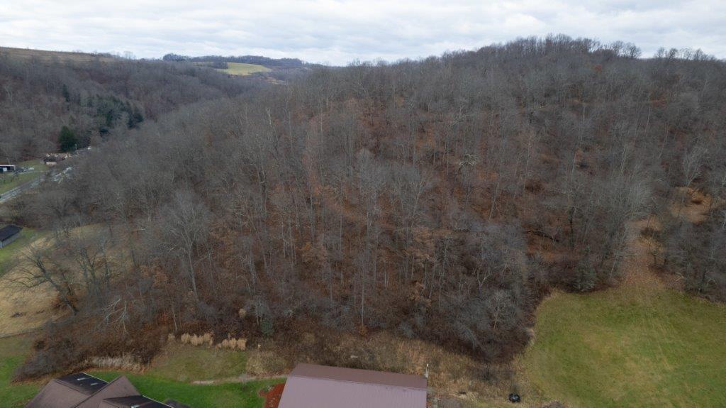 900 Lardintown Road Tarentum, PA 15084 - Photo 14 of 50 a view of a yard with a sink