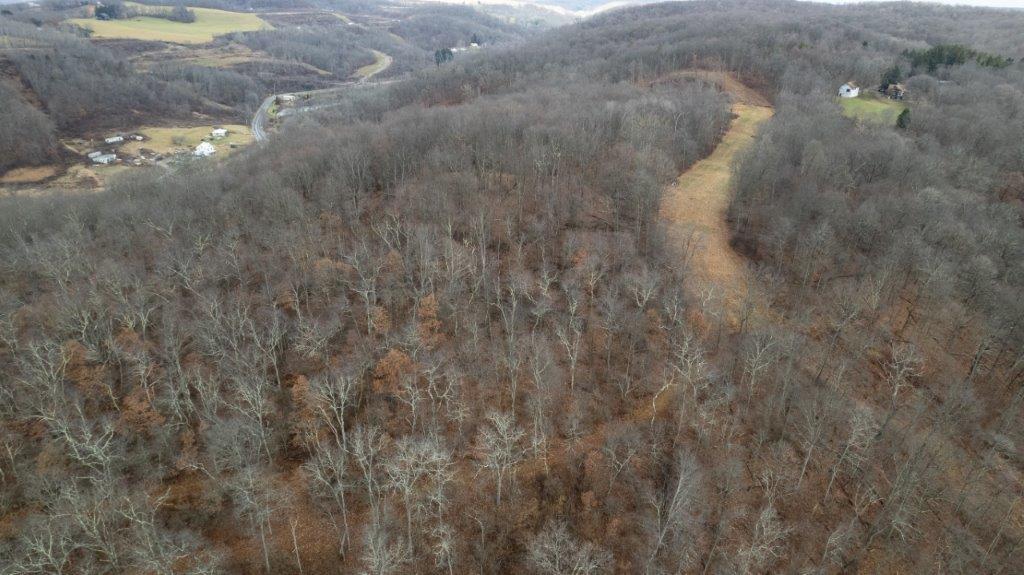 900 Lardintown Road Tarentum, PA 15084 - Photo 18 of 50 a view of a dry yard