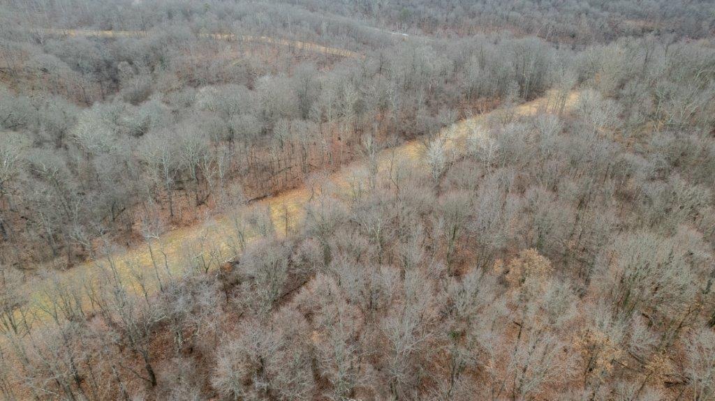 900 Lardintown Road Tarentum, PA 15084 - Photo 20 of 50 a view of a dry yard