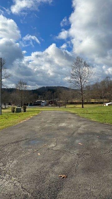 900 Lardintown Road Tarentum, PA 15084 - Photo 7 of 50 a view of a big yard with large trees