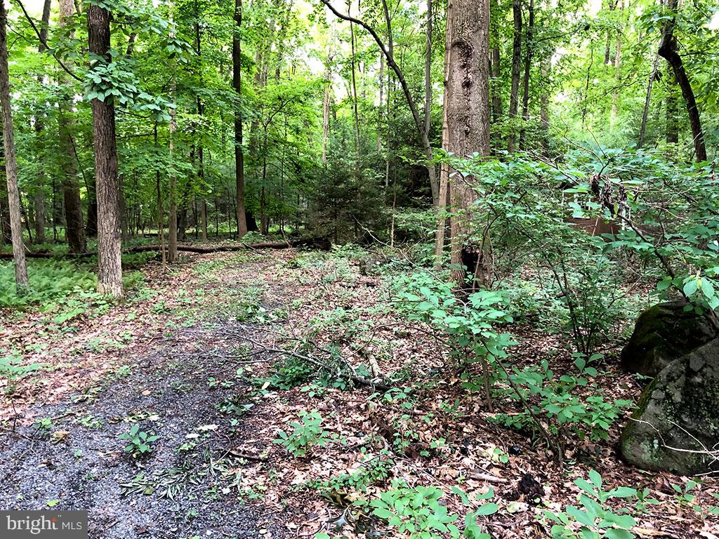 1738 Becker Road Green Lane, PA 18054 - Photo 17 of 32 Gallery Image 17