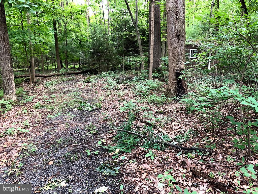 1738 Becker Road Green Lane, PA 18054 - Photo 5 of 32 Gallery Image 5
