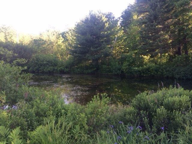85 Gebung Road Alfred, ME 04002 - Photo 24 of 25 Photo