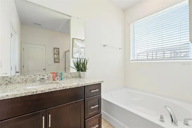 a bathroom with a bathtub sink and mirror