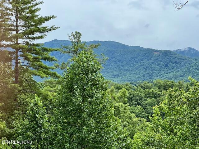 228 Ace Gap Road Townsend, TN 37882 - Photo 2 of 2 Mountain Views