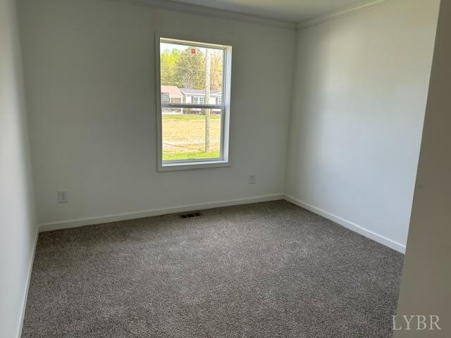 131 Jacobs Road Hurt, VA 24563 - Photo 19 of 32 Gallery Image 19