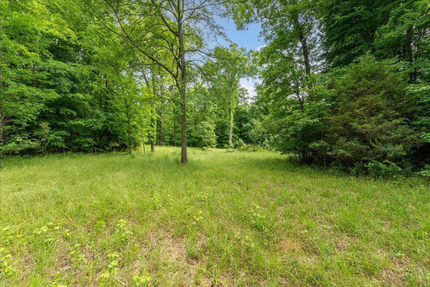 Trails throughout the 20 acres