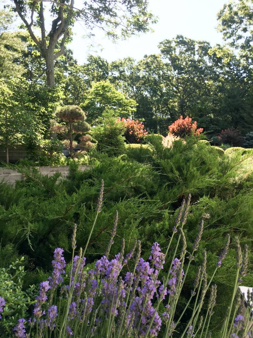 132 Springy Banks Road East Hampton, NY 11937 - Photo 36 of 37