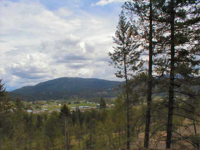 Lot 3 Skidmore Road Colville, WA 99114 - Photo 1 of 4